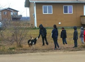Kids play with some of the dogs on Sturgeon Lake Cree Nation Photo by Chelsea Laskowski